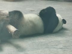 -石家庄极地海洋世界