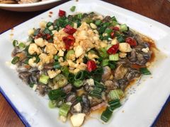 -大树下饭店(春晓镇慈岙社区卫生服务站南)