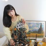 已经把圣诞树抱回家啦