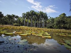 -中国科学院西双版纳热带植物园