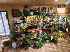 -Rabbit Cafe私房西餐甜点咖啡(栖霞路店)