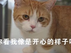 -汉拿山(万达广场哈尔滨哈西店)