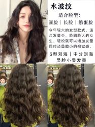 -BULB STUDIO 巴柏明星发型工作室