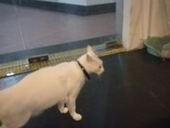 -Doors独立剧情密室(东门分店)