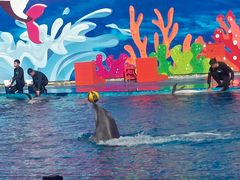 -北戴河圣蓝海洋公园