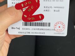 -瑞派天使宠物医院·神经外科·骨科·核磁(洛川中路店)