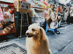 -唐人街(耀华力路)