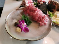 -菌子鲜汤野生菌锅