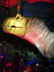 -恐龙探索乐园(磁器口店)