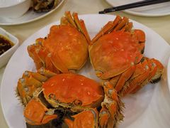 -王宝和酒家(黄浦店)