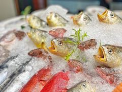 -高佳庄·舟山海鲜(海景旗舰店)