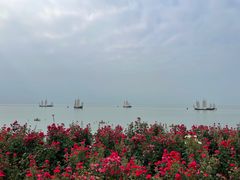 -贡湖湾湿地公园