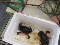 -阿弟特色海鲜餐厅·大排档(平潭店)