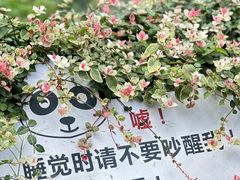 -红山森林动物园