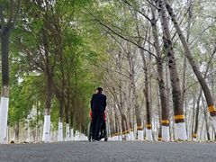 -东郊湿地公园