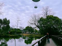 -西溪国家湿地公园