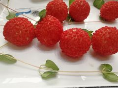 -常州花鸟园酒店(西太湖品牌优选店)