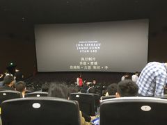 放映厅-紫东世纪影城(全景声.巨幕影院)