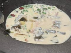 -鲜潭蒸汽石锅鱼(五道口购物中心店)