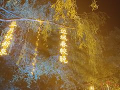 -万泉公园