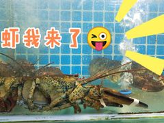 -三亚相缘海鲜·烧烤·糟粕醋(三亚湾店)