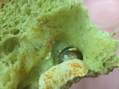 -仙峰天然面包(迎宾路店)