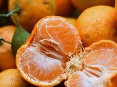 -南宁良凤江国家森林公园