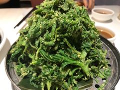 面条菜-金春禧(世茂国际广场店)