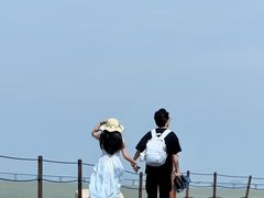 -野狸岛