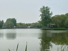 -大兴滨河森林公园