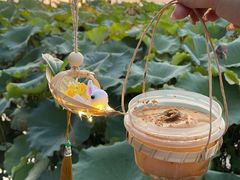 -炖物24章·顺时轻养茶(杭州大厦店)