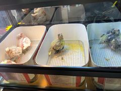 -中环花鸟鱼虫市场