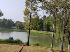 -尚贤河湿地