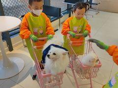 -怪兽屋·羊驼·猫咖·狗咖(俊华广场店)