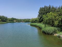 -大兴滨河森林公园