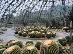 -深圳仙湖植物园