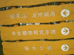 -艾溪湖湿地公园