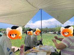 -268童话露营农场·烧烤·团建