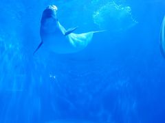 -多彩贵州城极地海洋世界