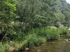 -碓臼峪自然风景区