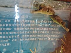 -肆月河豚·淮扬菜·湘菜(华天店)