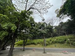 -广州市白云山风景名胜区