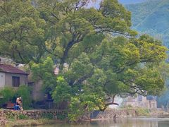 -鹿亭中村