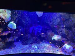 -沈阳海洋探索中心