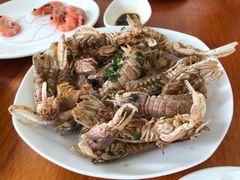 椒盐濑尿虾-南蚝小贝海鲜特色餐厅(南澳岛店)