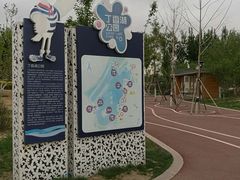 -丁香湖公园