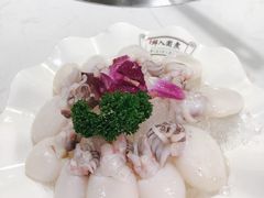 生鲜八爪鱼-港迹·鲜围煮海鲜火锅(湖州时代广场店)
