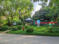 -立新湖公园