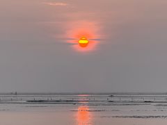 -北海金海湾红树林生态旅游区