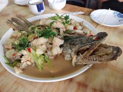 -煲来饱去冷水鱼